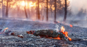 Instytut Badawczy Leśnictwa apeluje o ostrożność w zw. z zagrożeniem pożarowym w lasach