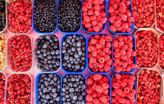 Jakość determinuje rozwój upraw owoców jagodowych; fot. unsplash.com Agronom Berries: Jakość determinuje rozwój upraw owoców jagodowych