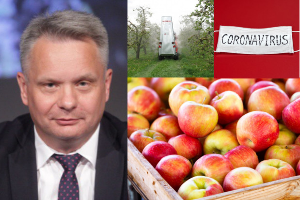 Związek Sadowników RP skierował do Pana Premiera Mateusza Morawieckiego pismo z propozycjami działań, które mogą złagodzić skutki zbliżającego się kryzysu. / fot. fot. unsplash.com Sadownicza Tarcza Antykryzysowa - propozycje Związku Sadowników RP