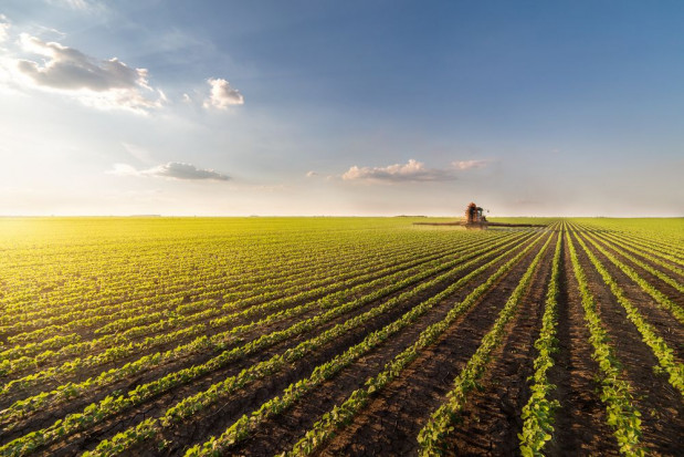 Rolnicy mogą w uproszczony sposób przekraczać granicę państwa podczas prac polowych/ fot. shutterstock Ułatwienia dla rolników przekraczających granicę z Czechami, Słowacją i Litwą