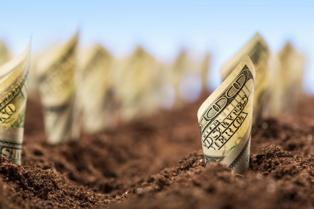 Tarcza antykryzysowa zaoferowana przez rząd jest niewystarczająca i prawie w ogóle nie dotyczy rolników. / fot. shutterstock WIR apeluje o działania ratujące płynność finansową gospodarstw