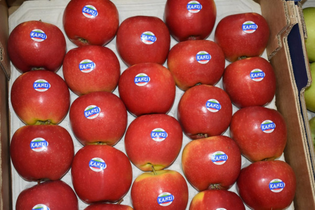 Jabłka odmiany Kanzi prezentowane podczas Fruit Logistica 2020/ fot. sadyogrody Dlaczego w Polsce nie ma jeszcze odmian klubowych?
