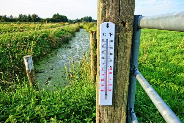 Przed nami dużo słońca oraz temperatura sięgająca miejscami nawet 22 stopni Celsjusza / fot. pixabay Pogoda: Przed nami słoneczne i ciepłe wiosenne dni