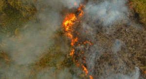 Świętokrzyskie: Spaleniu uległo niemal 30 hektarów cennych łąk i torfowisk