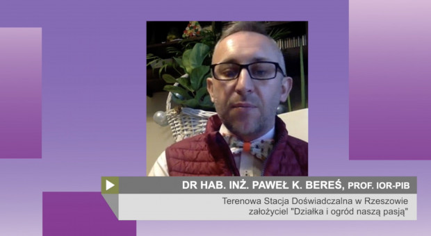 dr hab. Paweł K. Bereś z Terenowej Stacji Doświadczalnej w Rzeszowie Instytutu Ochrony Roślin-PIB w Poznaniu, założyciel "Działka i ogród naszą pasją"/ fot. PTWP Prof. Bereś: Wiele gatunków szkodników bez problemu przezimowało (wideo)
