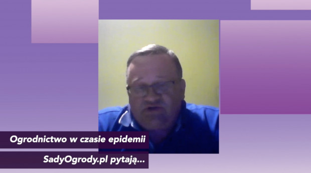 Paweł Myziak, członek zarządu Zrzeszenia Producentów Papryki RP/ fot. PTWP Myziak, ZPPRP: Naszym celem jest promocja i obrona rynku wewnętrznego (wideo)