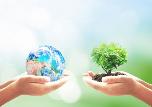 Z okazji Międzynarodowego Dnia Ziemi 22 kwietnia resort klimatu organizuje warsztaty on-line dla uczniów klas 7-8 szkół podstawowych i uczniów szkół ponadpodstawowych / fot. shutterstock Z okazji Dnia Ziemi resort klimatu zorganizuje warsztaty on-line dla uczniów