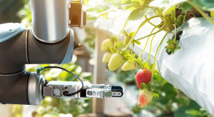 Roboty zrewolucjonizują uprawy ogrodnicze?