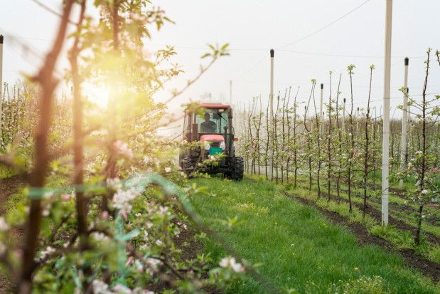 Ankieta nt. wiosennej ochrony sadu; fot. shutterstock.com Ankieta nt. wiosennej ochrony sadu - zapraszamy do udziału!