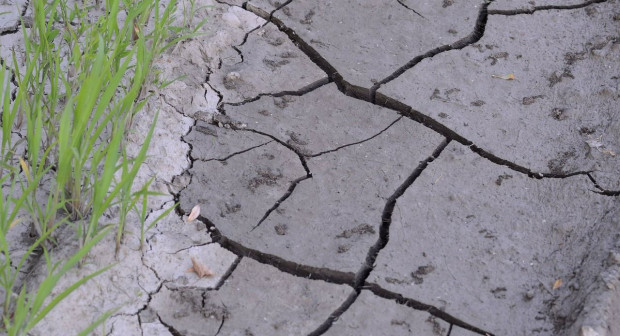 IMGW od 1 maja będzie publikował ostrzeżenia przed suszą hydrologiczną/ fot. pixabay IMGW wprowadza nowy typ ostrzeżenia - przed suszą hydrologiczną