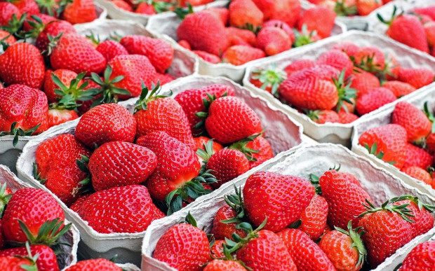 Na Rynku Bronisze dostępne są pierwsze krajowe truskawki ze szklarni/ fot. pixabay Bronisze: Pierwsze polskie truskawki w cenie 17-20 zł/kg