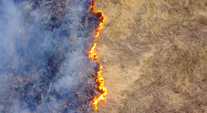 Straż Pożarna: obszar objęty pożarem w Biebrzańskim Parku Narodowym nie powiększa się