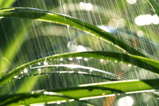 Nad Polskę npływa chłodne i wilgotne powietrze polarne morskie/ fot. shutterstock Pogoda: możliwe przelotne opady deszczu i burze