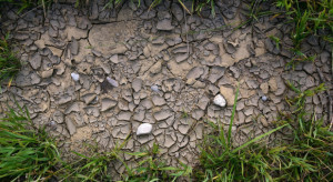 Pomoc po ubiegłorocznej suszy – zaliczkowo 2,5 tys. zł