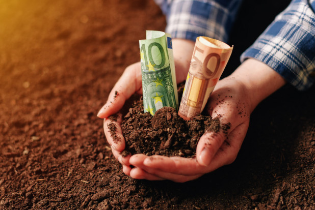 Podawana obecnie przez prasę ilość wniosków dotyczących pomocy suszowej wynosi 350 tysięcy na kwotę ok. 2.3 miliarda złotych. / fot. shutterstock Jurgiel: Jakie są przyczyny opóźnienia realizacji pomocy suszowej za 2019 r.?