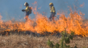 Mazowieckie: Od początku roku 1000 pożarów w lasach i 4400 pożarów traw