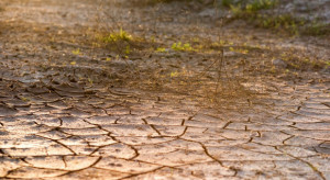 Świętokrzyskie: Zespół do spraw rozwoju wsi zajmie się problemem suszy
