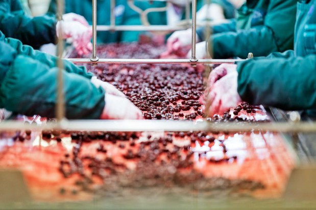 Polskie rolnictwo jest odporne na pandemię koronawirusa, gorzej może być z przemysłem rolno-spożywczym i handlem żywnością/ fot. shutterstock TEP: polskie rolnictwo odporne na koronawirusa, gorzej z przetwórstwem