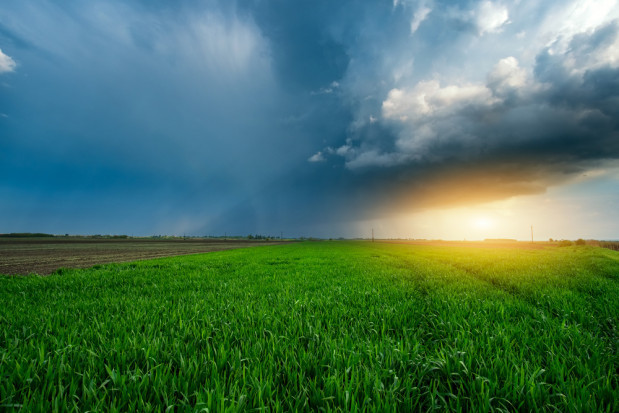 W ośmiu województwach na wschodzie i na południu kraju mogą występować burze z opadami deszczu, miejscami gradu oraz z porywami wiatru / fot. shutterstock IMGW ostrzega: Burze w ośmiu województwach