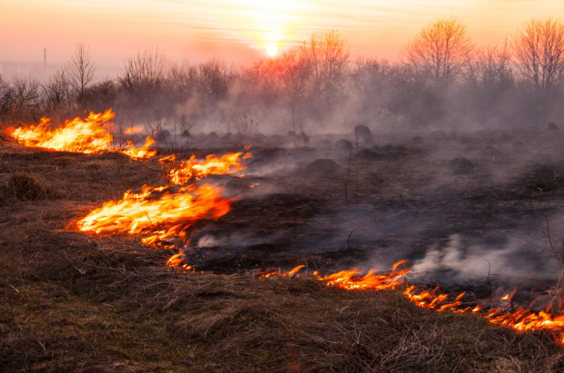 Kary finansowe za wypalanie traw powinny być bardziej dotkliwe/ fot. Shutterstock Komendant Straży Pożarnej: kary finansowe za wypalanie traw powinny być bardziej dotkliwe