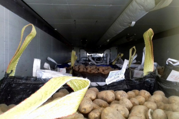 Wiezionych z Finlandii ziemniaków było w naczepie stanowczo zbyt dużo/ fot. WITD Poznań Przeładowane transporty z warzywami i pieczarkami