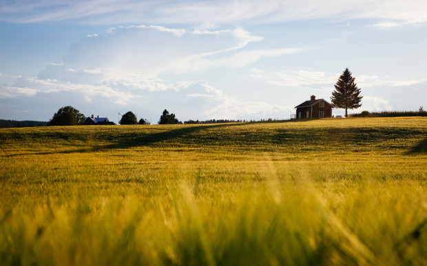 Nie można dzisiaj doprowadzić do upadku gospodarstw agroturystycznych; fot. unsplash.com Kosiniak-Kamysz: agroturystyka wykluczona z pomocy rządowej