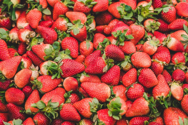 Sezon truskawkowy 2020 powoli nabiera rozpędu/ fot. shutterstock Truskawki 2020: podaż owoców jeszcze ograniczona a ceny spadają