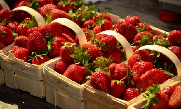 Tegoroczny sezon truskawkowy z tygodnia na tydzień będzie nabierał rozpędu. / fot. pixabay Truskawki 2020: Jak ukształtuje się tegoroczny sezon?