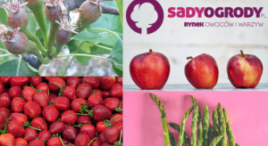 337 tys. unikalnych użytkowników SadyOgrody.pl w maju. Dziękujemy!