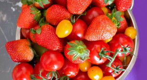 Ulubionymi owocemi Polaków są truskawki, a warzywami - pomidory