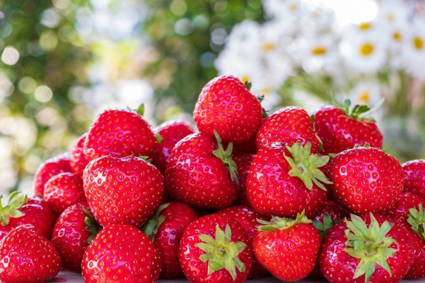 W obrocie dostępne są polskie truskawki/ fot. pixabay Polskie truskawki są bezpieczne i zdrowe!