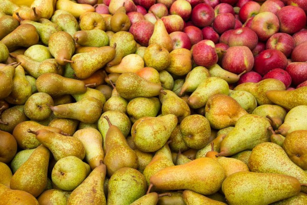 fot. shutterstock Unia Owocowa: zagrożona produkcja jabłek i gruszek w UE