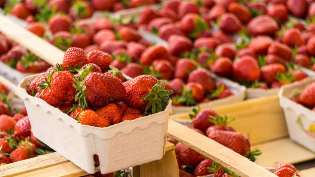 Trwa sezon truskawkowy/ fot. shutterstock Truskawki 2020: Szczyt sezonu dopiero przed nami; ceny owoców spadają