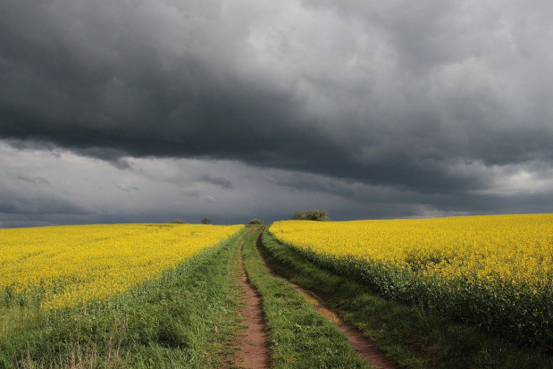 Instytut Meteorologii i Gospodarki Wodnej wydał we wtorek ostrzeżenia pierwszego stopnia przed burzami z gradem. / fot. pixabay IMGW wydał ostrzeżenia przed burzami z gradem na wschodzie kraju