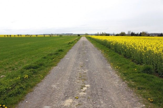 7,2 mln zł dla gmin na budowę dróg dojazdowych do terenów rolniczych/ fot. shutterstock Śląskie: 7,2 mln zł dla gmin na budowę dróg dojazdowych do terenów rolniczych