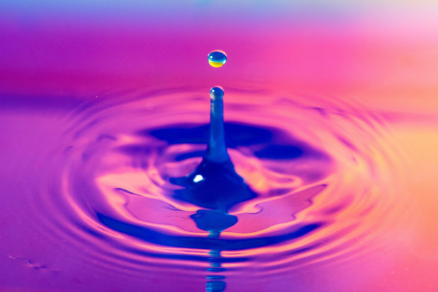 Ardanowski: trzeba zlikwidować utrudnienia administracyjne ws. retencji; fot. unsplash.com Ardanowski: trzeba zlikwidować utrudnienia administracyjne ws. retencji