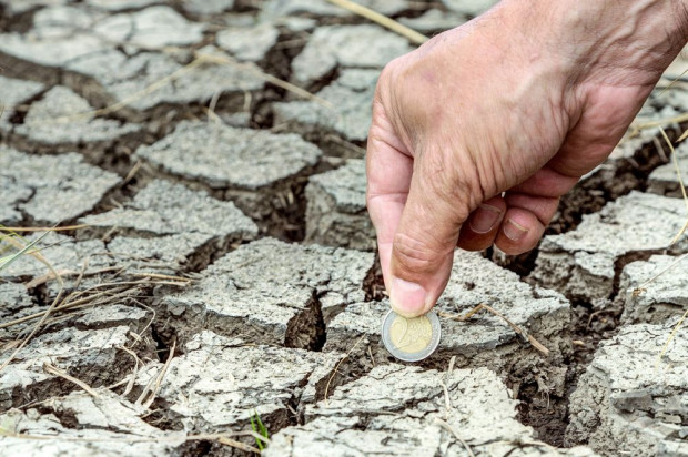 Część rolników dostała rekompensaty z powodu strat suszowych jeszcze w ubiegłym roku, kolejna transza została wypłacona w kwietniu tego roku/ fot. shutterstock MRiRW: Ruszyła ostatnia transza pomocy suszowej