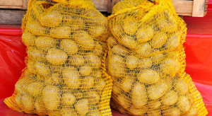 Wczesne ziemniaki z Rumunii sprzedawane jako produkt krajowy