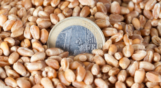 25 czerwca, upływa termin naboru wniosków o przyznanie dopłaty do materiału siewnego/ fot. shutterstock ARiMR: 25.06. mija termin naboru wniosków o dopłaty do materiału siewnego