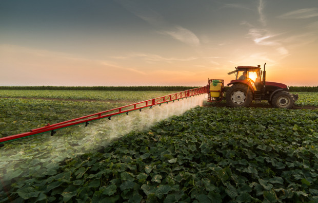 Polskie Stowarzyszenie Rolnictwa Zrównoważonego „ASAP” wybrało nowy Zarząd/ fot. shutterstock Polskie Stowarzyszenie Rolnictwa Zrównoważonego "ASAP" ma nowy zarząd