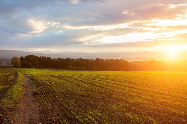 KOWR: kurczy się państwowy zasób ziemi/ fot. shutterstock KOWR: kurczy się państwowy zasób ziemi