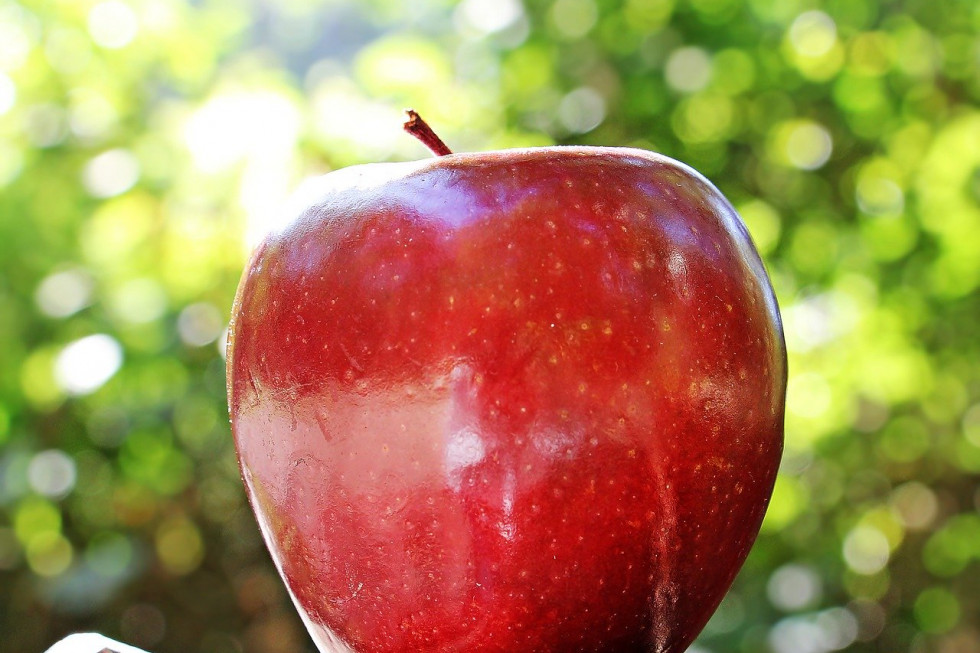 Jabłko najpopularniejszym owocem w Polsce (badanie)