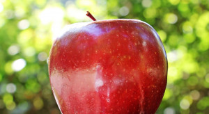 Jabłko najpopularniejszym owocem w Polsce (badanie)