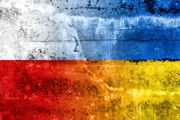 Ardanowski: Polska jest orędownikiem prozachodniego kursu Ukrainy; fot. shutterstock.com Ardanowski: nie będzie lepszego czasu na przyjaźń polsko-ukraińską