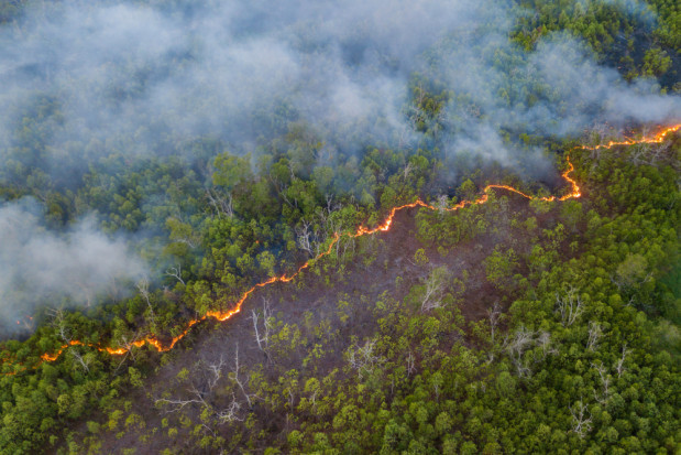 Rosja: Ogień zniszczył już ponad 300 tys. hektarów lasu