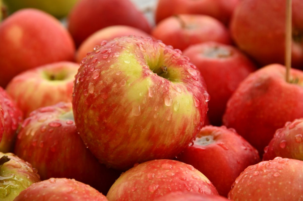 Jabłka droższe niż cytrusy. Tak wysokich cen nie było od lat
