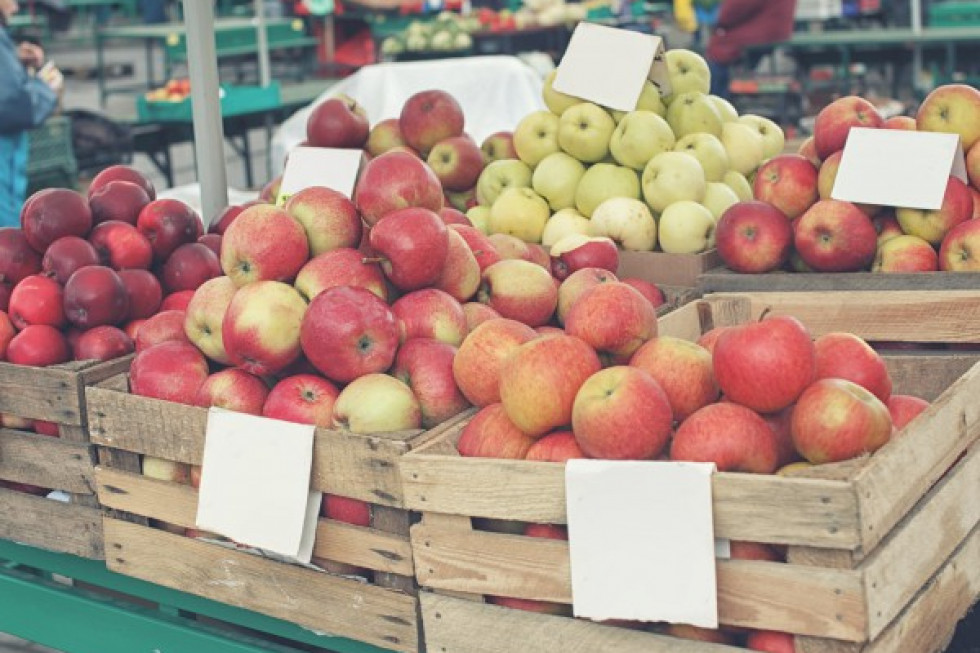 Wczesne jabłka dostępne w hurcie; fot. shutterstock.com Ceny jabłek w hurcie w granicach 6 zł/kg