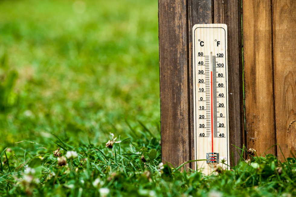 IMGW: zapowiada się ciepły sierpień - nawet z dniami powyżej 30 stopni