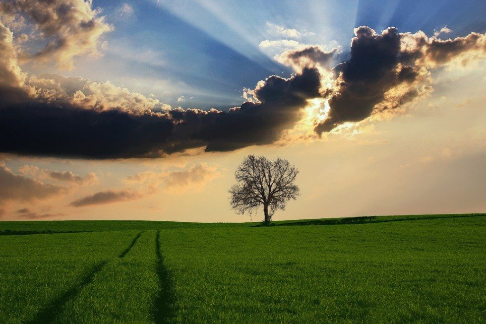 W piątek zachmurzenie umiarkowane i duże/ fot. pixabay Prognoza pogody na 24 i 25 lipca