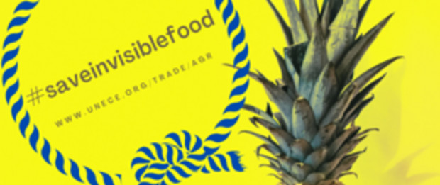 Celem kampanii jest zwiększenie świadomości na temat marnowania żywności / fot. materiały prasowe #saveinvisiblefood – europejska kampania na rzecz zapobiegania marnotrawieniu żywności